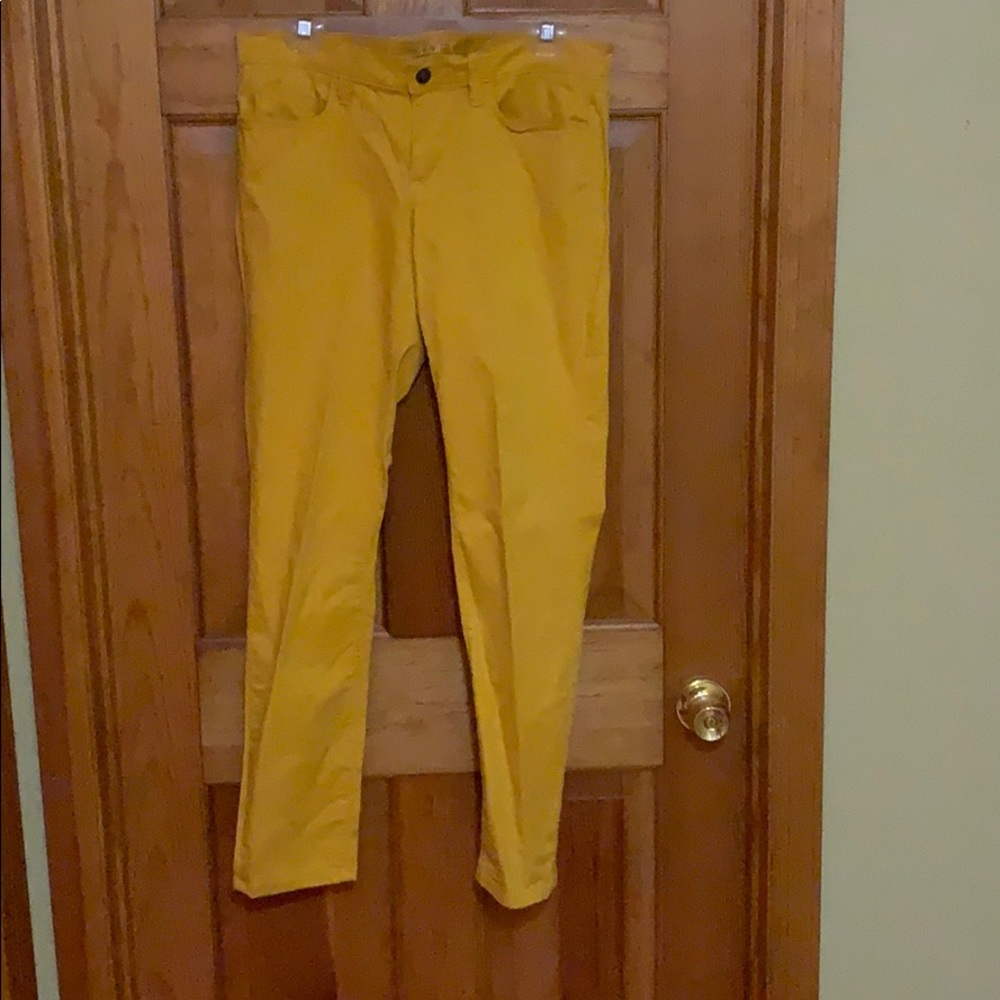 Loft Modern Skinny Pants